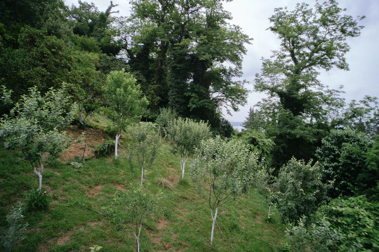 Guest House Bagrat New Athos Екстериор снимка